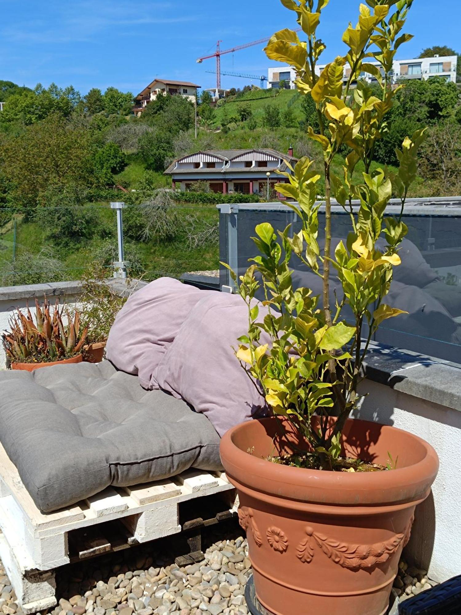 Plena Naturaleza En Pleno سان سيباستيان المظهر الخارجي الصورة